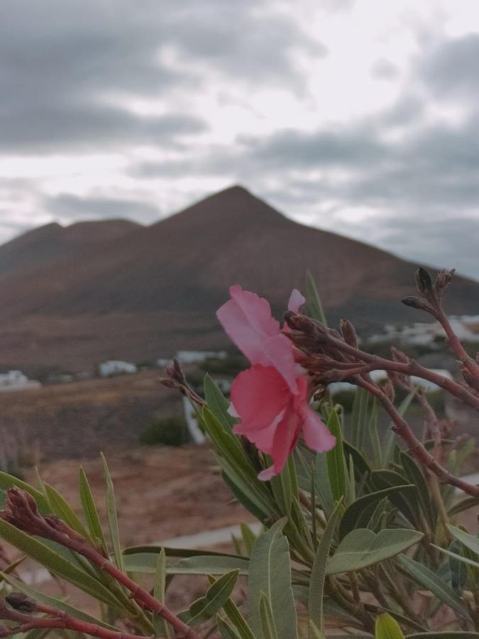 La Morreta Suites II - Lanzarote Tías Eksteriør billede